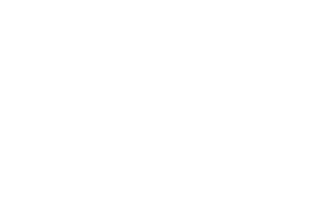sans-serif